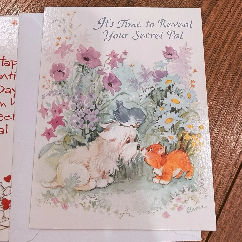 Lot 5 Vtg Secret Pal Cards Reveal Card New w/Envelopes Retro Fun Ephemera